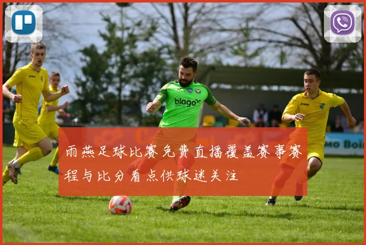 雨燕足球比赛免费直播覆盖赛事赛程与比分看点供球迷关注