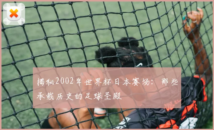 揭秘2002年世界杯日本赛场：那些承载历史的足球圣殿