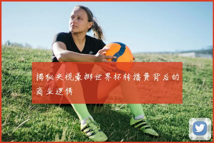 揭秘央视豪掷世界杯转播费背后的商业逻辑
