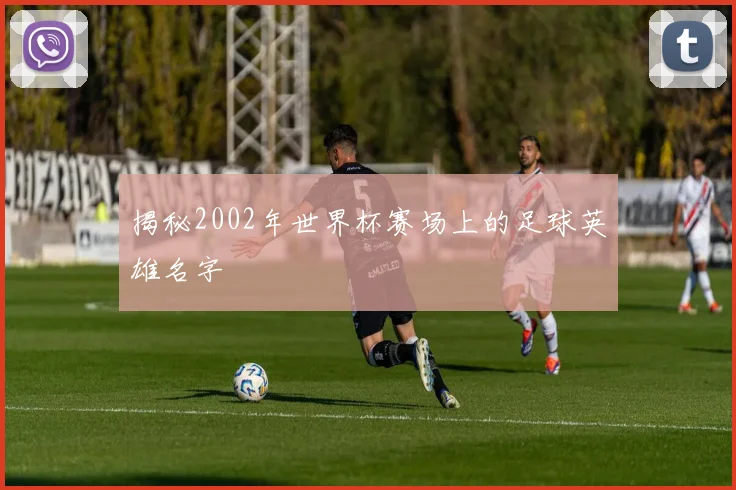 揭秘2002年世界杯赛场上的足球英雄名字