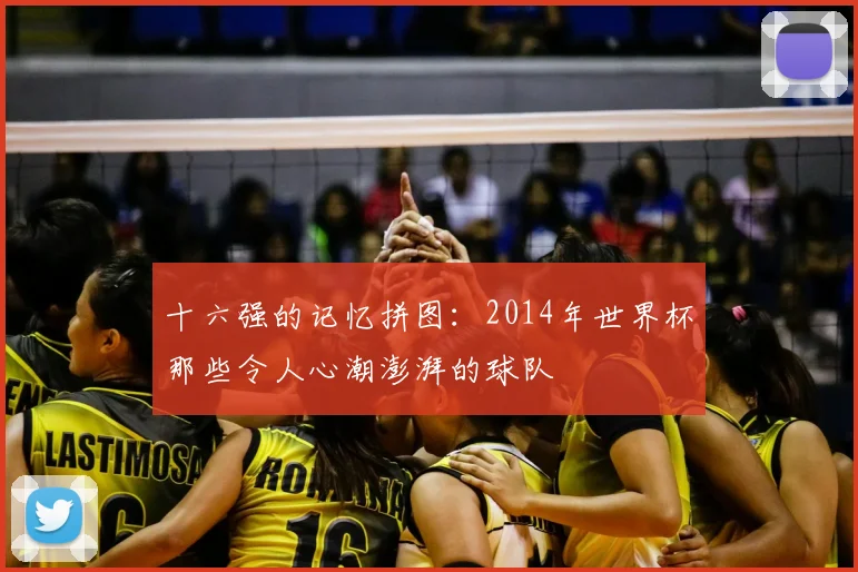 十六强的记忆拼图:2014年世界杯那些令人心潮澎湃的球队