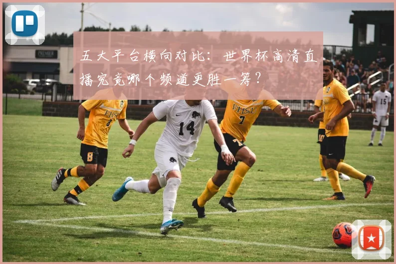 五大平台横向对比:世界杯高清直播究竟哪个频道更胜一筹?