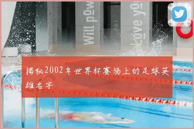 揭秘2002年世界杯赛场上的足球英雄名字