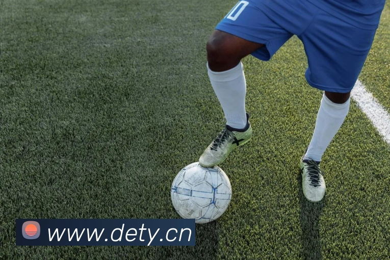 企业概况